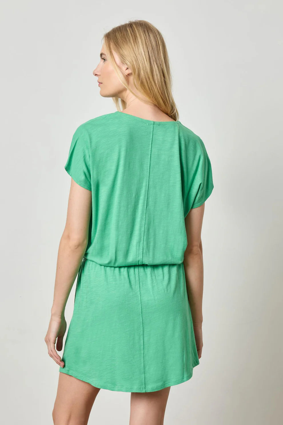 Elastic Waist V Neck Dress in Green