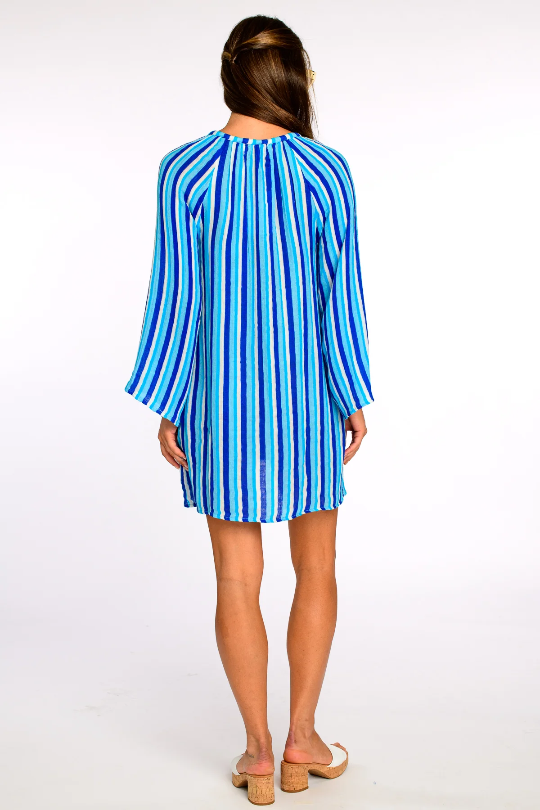 Chelsea Dress in French Blue Stripe