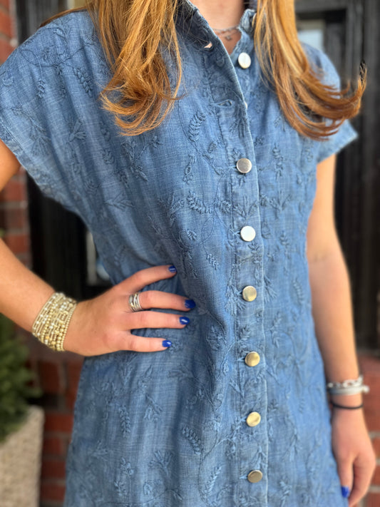 Ramer Dress in Denim