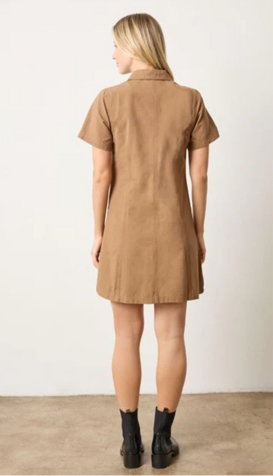 Twill Paneled Shirt Dress in Pecan