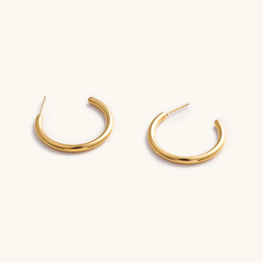 Tessa Tube Hoops