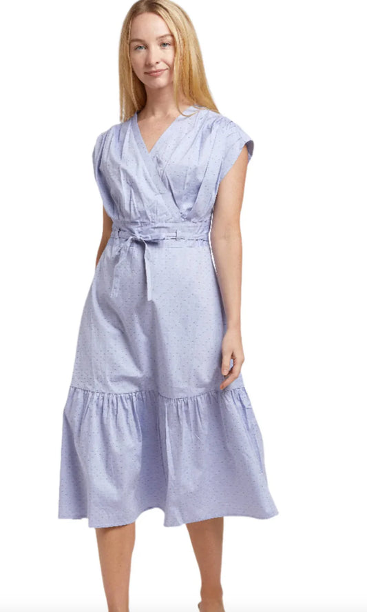 Poppy Dress in Blue Dot
