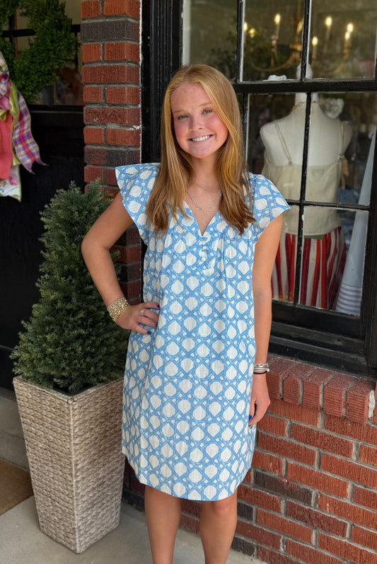 Eloise Dress in Light Blue Trellis