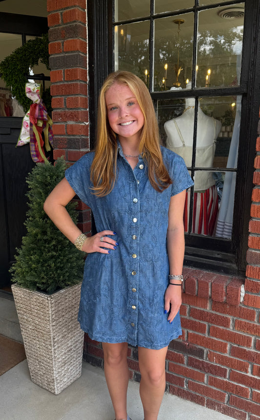 Ramer Dress in Denim
