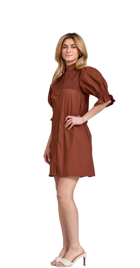 Aubrey Dress in Chocolate Brown