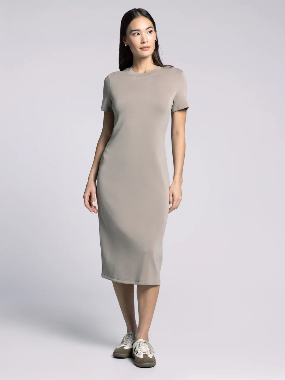 Dayton Dress in Taupe