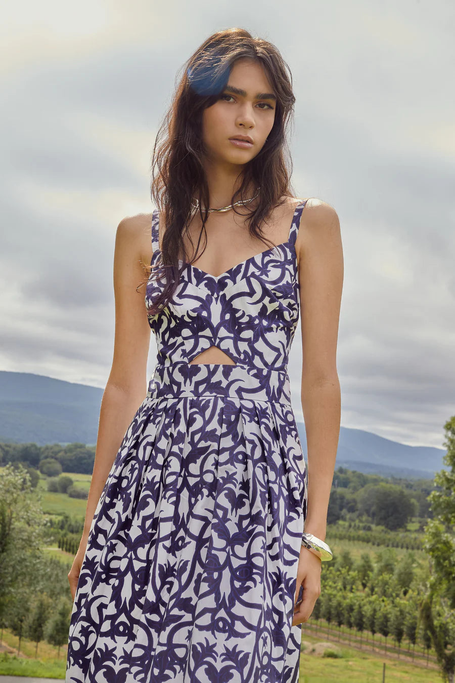 Natalie Dress in Damask