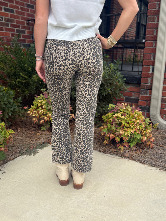 High Rise Crop Flare W/Distressed Hem in Leopard