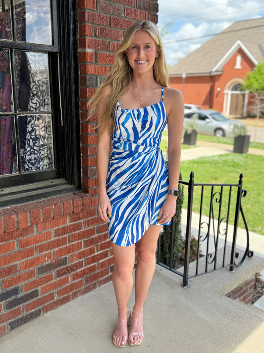 Coco Dress in Blue Zebra
