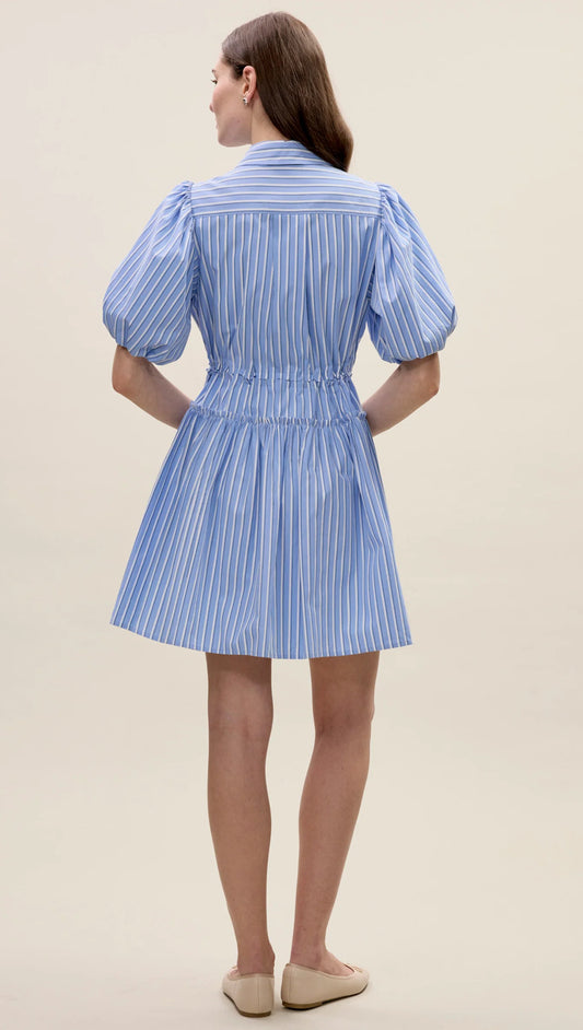 Priya Poplin Shirt Dress in Blue Stripe