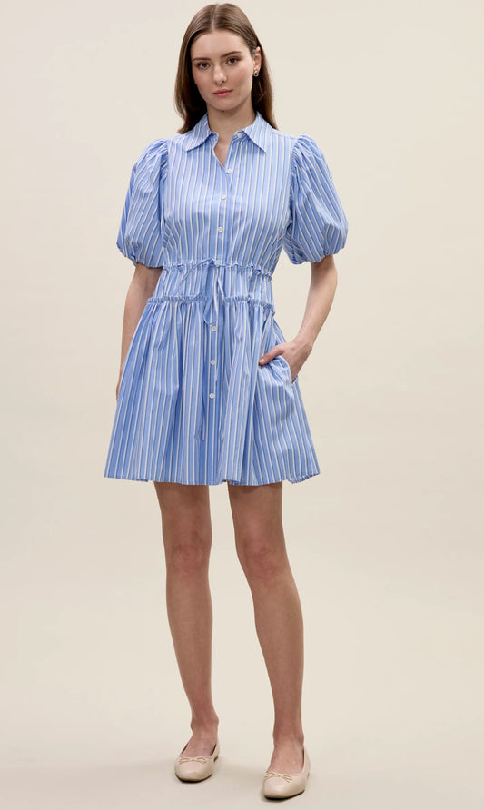 Priya Poplin Shirt Dress in Blue Stripe
